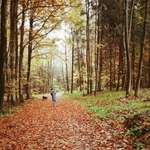 Ersteller:in Steffi Profilbild