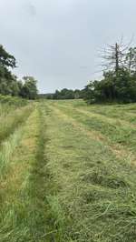 Hundeauslaufgebiet-Hundewiese Bieber-Bild