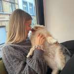 Ersteller:in Maja Profilbild