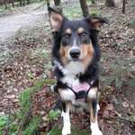 Ersteller:in Sabrina Profilbild