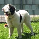 Ersteller:in Katrin Profilbild