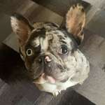 Ersteller:in Julia Profilbild