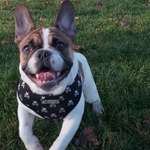 Ersteller:in Susanne Profilbild