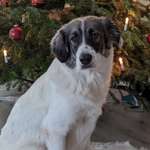 Ersteller:in Sarah Profilbild