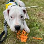 Ersteller:in Juliana Profilbild