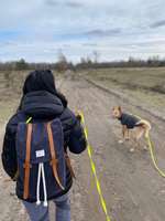 Hundeauslaufgebiet-Döberitzer Heide-Bild