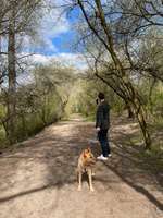 Hundeauslaufgebiet-Arkenberge-Bild