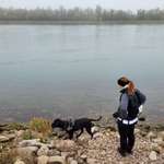 Ersteller:in Steffi Profilbild