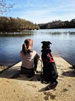 Hundeauslaufgebiet-Glörtalsperre-Bild