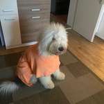 Ersteller:in Rita Profilbild