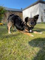 Trick Challenge Nr. 8-Beitrag-Bild