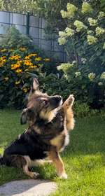 Trick Challenge Nr. 16-Beitrag-Bild