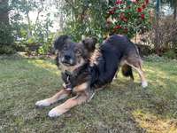 Trick Challenge Nr. 8-Beitrag-Bild