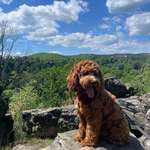 Ersteller:in Charlotte Profilbild