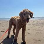 Ersteller:in Fritzi Profilbild