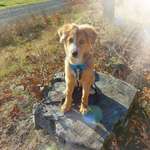 Ersteller:in Annette Profilbild