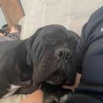 Ersteller:in Miroslav Profilbild