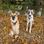 Ersteller:in Silke Profilbild