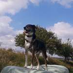 Ersteller:in Celina Profilbild