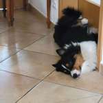 Ersteller:in Sabine Profilbild