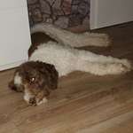 Ersteller:in Susanne Profilbild