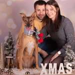 Ersteller:in Salome Profilbild