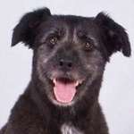 Ersteller:in Elisa Profilbild