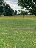 Hundeauslaufgebiet-Baumpark Erbhof Thedinghausen-Bild