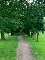 Hundeauslaufgebiet-Baumpark Erbhof Thedinghausen-Bild