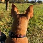 Ersteller:in Es Alex & Profilbild