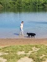 Hundeauslaufgebiet-Hundestrand Auesee-Bild