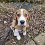 Ersteller:in Justine Profilbild