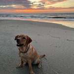 Ersteller:in Pia Profilbild