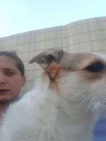 Ersteller:in Nicole Profilbild