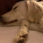 Ersteller:in Gabi Profilbild