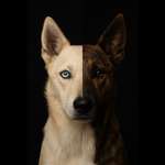 Ersteller:in Thora Profilbild