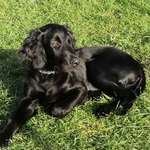 Ersteller:in Geli Profilbild