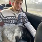 Ersteller:in Ibrahim Profilbild