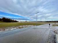 Hundeauslaufgebiet-Theresienwiese-Bild