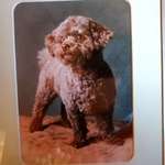 Ersteller:in Christine Profilbild