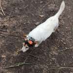 Ersteller:in Ivonne Profilbild