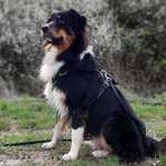 Ersteller:in Olivia Profilbild