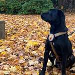 Ersteller:in Adriana Profilbild