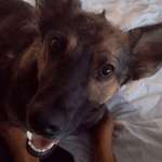 Ersteller:in jessica Profilbild