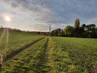 Hundeauslaufgebiet-Peterholz (Haarberg)-Bild