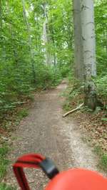 Hundeauslaufgebiet-Nonnenholz / Hubertus-Bild