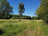 Hundeauslaufgebiet-Peterbachtal (Haarberg)-Bild