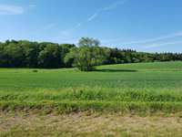 Hundeauslaufgebiet-Peterbachtal (Haarberg)-Bild