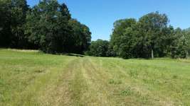Hundeauslaufgebiet-Peterbachtal (Haarberg)-Bild