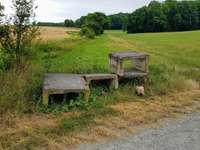 Hundeauslaufgebiet-Peterholz (Haarberg)-Bild
